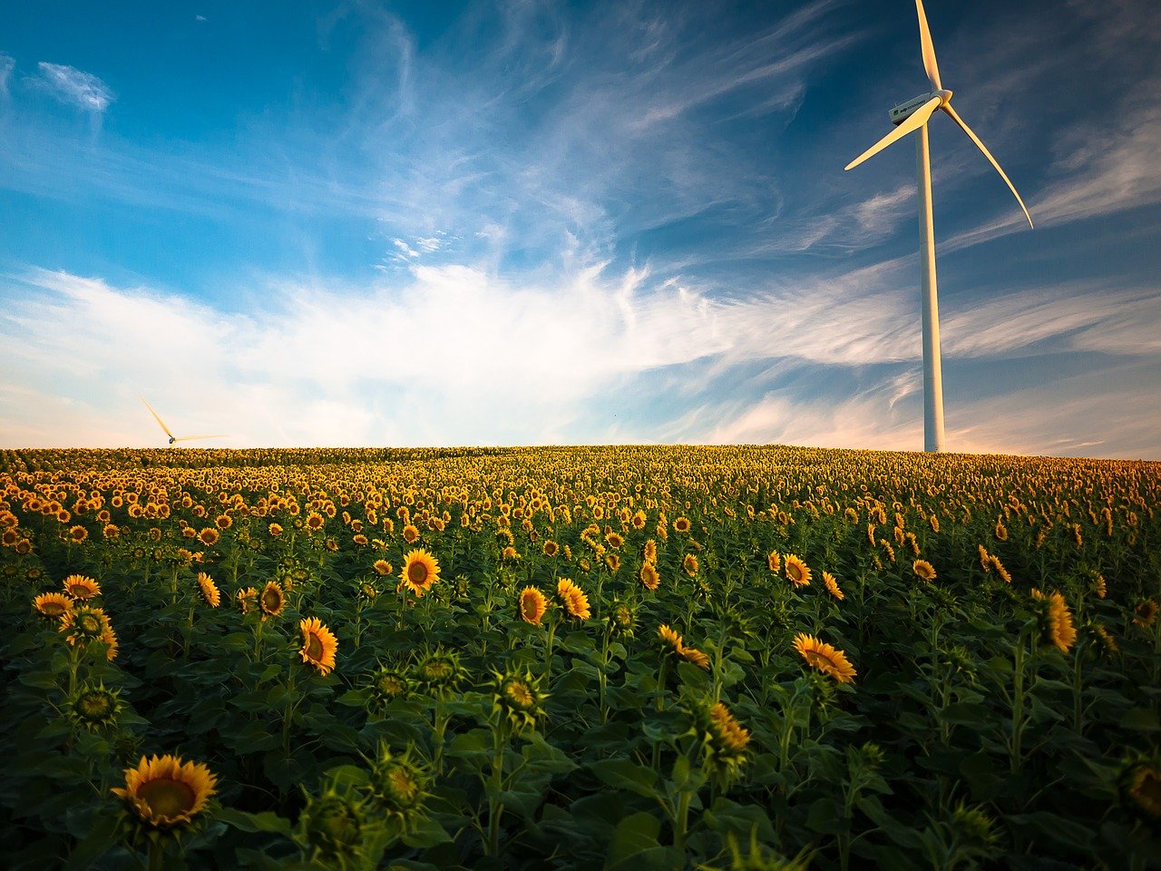 agriculture-1853323_1280